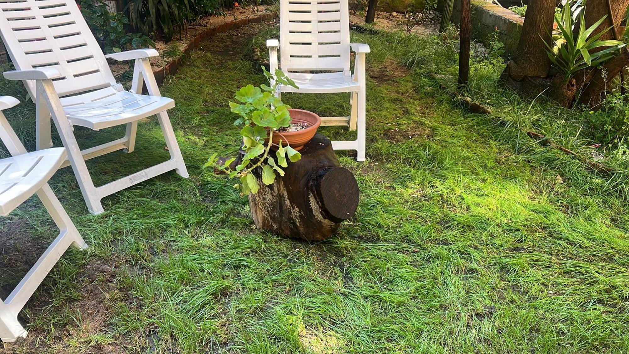Ferienwohnung La Limonaia Di Chiaia Neapel Exterior foto